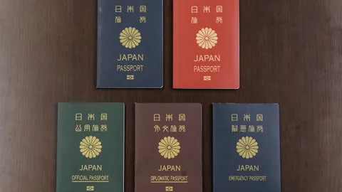 哈兰德酒宴论足球场，94场战记百球，谱写传奇新篇