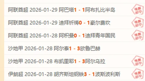 孫銘徽全能表現助廈門隊連勝，奈特獨取高分，林葳輸出佳績，同曦敗北止步三連勝