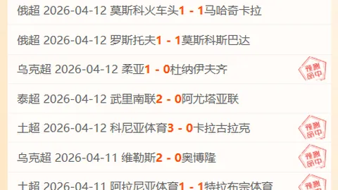 摩洛哥队长罗曼赛斯宣布退役：罗曼赛斯告别国家队成球迷